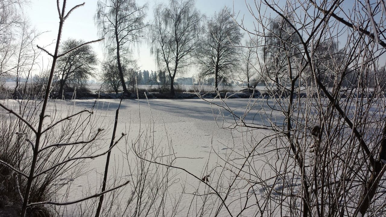 Birkensee im Winter