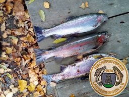 Jugendabschlußfischen
