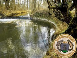 Lüsslegraben